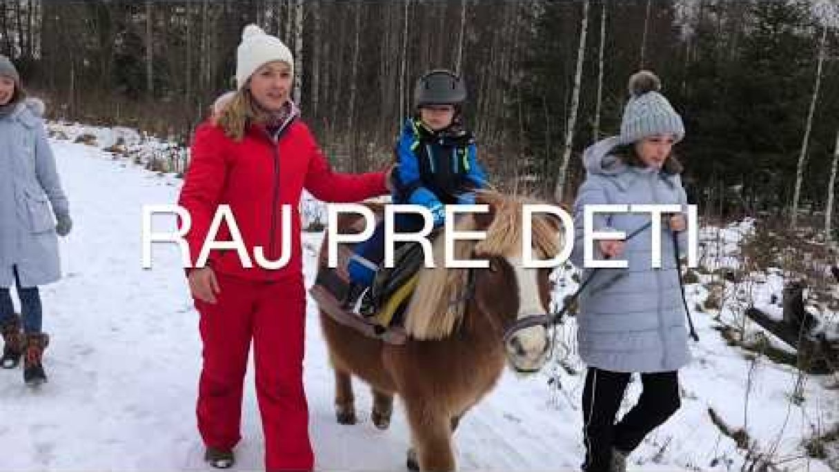 Jazda na koníkovi v areáli hotela Hubert, Gerlachov - Vysoké Tatry Autor: Hotel Hubert**** źródło: https://www.youtube.com/@hotelhubert1231