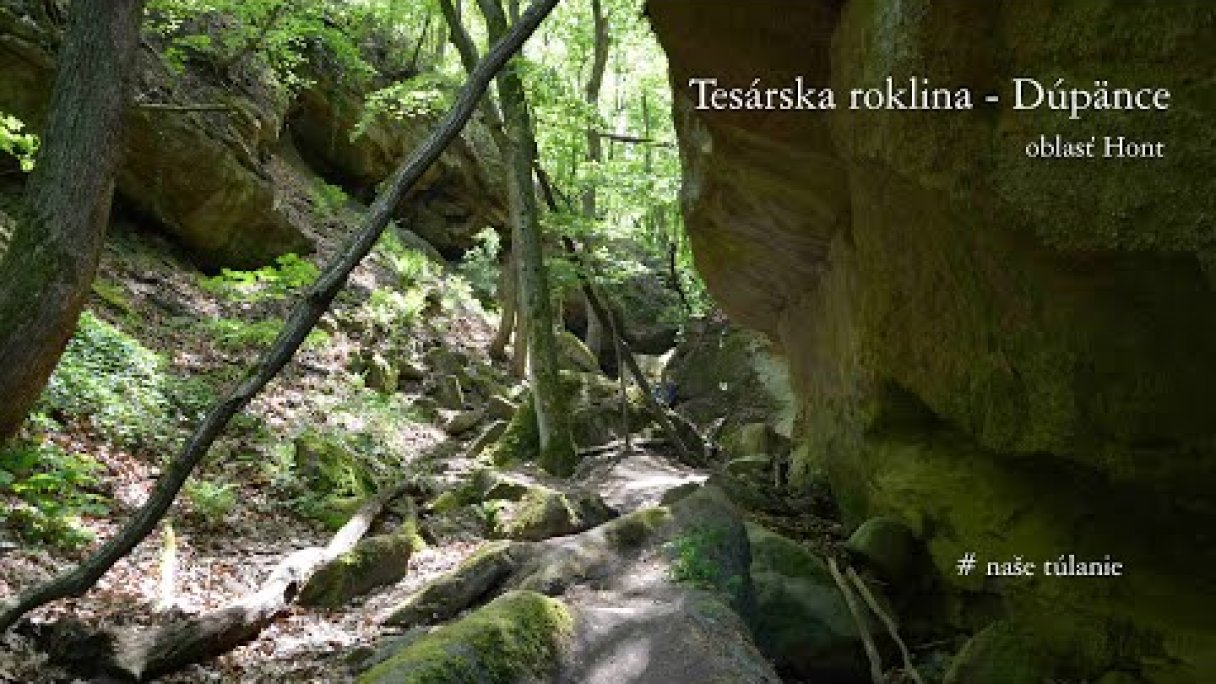 Tesárska roklina - Dúpänce (Hont, okruh) Autor: našetúlanie źródło: https://www.youtube.com/@nasetulanie7134 Tesárska roklina - Dúpänce (Hont, okruh) Autor: našetúlanie źródło: https://www.youtube.com/@nasetulanie7134