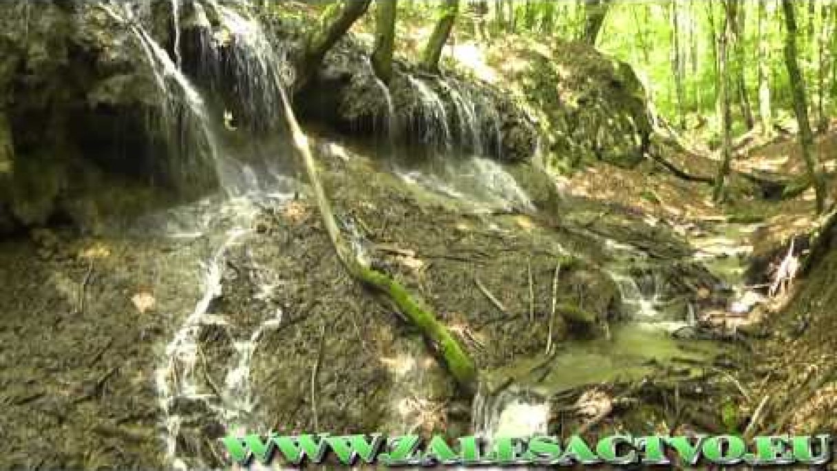Dračia Studňa - Biele Karpaty (Waterfall) Autor: Lukas Blaho - ZALESACTVO źródło: https://www.youtube.com/@Luki_Zalesactvo Dračia Studňa - Biele Karpaty (Waterfall) Autor: Lukas Blaho - ZALESACTVO źródło: https://www.youtube.com/@Luki_Zalesactvo