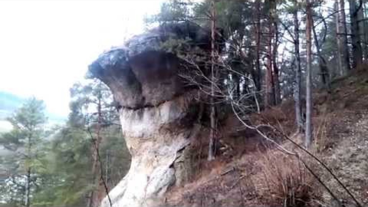 SKALNY HRIB-SLOVENSKA LUPCA Autor: Juraj Buzák źródło: https://www.youtube.com/@BKJURAJ