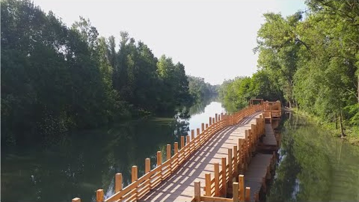 Korzo Zálesie Autor: Miloš Kasal źródło: https://www.youtube.com/@miloskasal