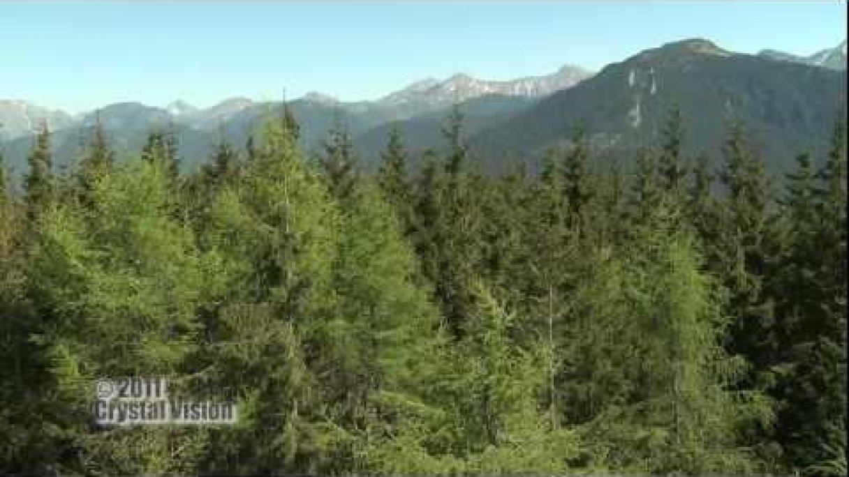 Rozhľadňa Skorušina (Brezovica) Autor: Slovensky Trip źródło: https://www.youtube.com/@slovaktrip
