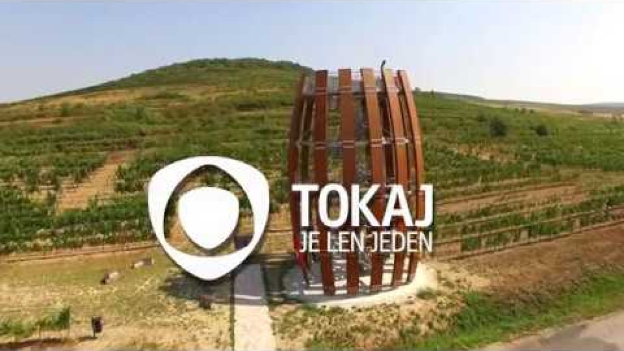 Tokaj je len jeden Autor: Vinohradnícka oblasť Tokaj źródło: https://www.youtube.com/@vinohradnickaoblasttokaj7074 Tokaj je len jeden Autor: Vinohradnícka oblasť Tokaj źródło: https://www.youtube.com/@vinohradnickaoblasttokaj7074