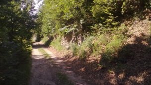 Privát Palenčár Spišské Vlachy 5 Privát Palenčár Spišské Vlachy 5