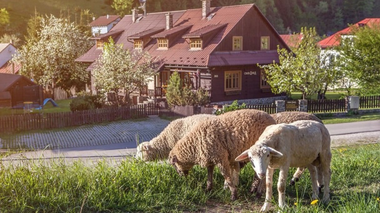 Chata Zinka Mýto pod Ďumbierom 1