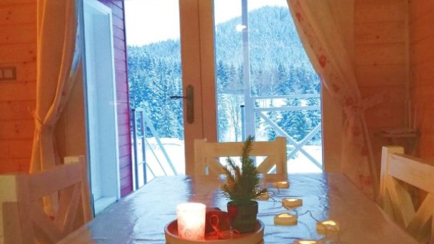 Arctic House 24