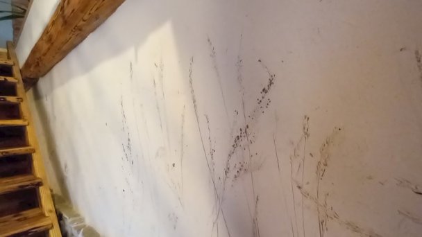 Apartmány Terra Stará Lesná 34