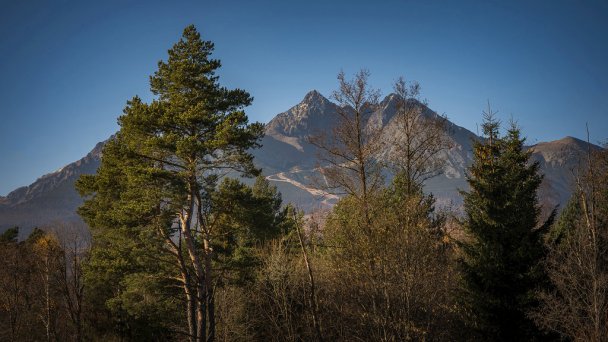 Luxusný zrub Tatranská Lomnica 30