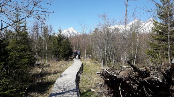 Relax Tatras Stará Lesná 37