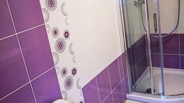 Vilka Aurora Tatranská Lomnica 6