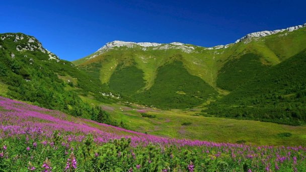 Vila Belianka Ždiar 29