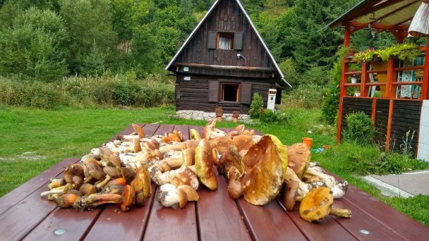 Chata Hrdovo Pribylina 24