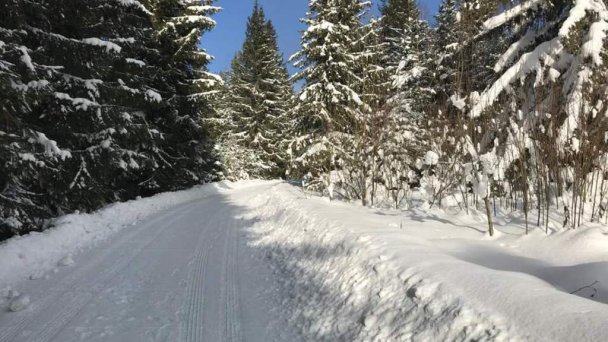 Chata Slávka Tatranská Štrba 34