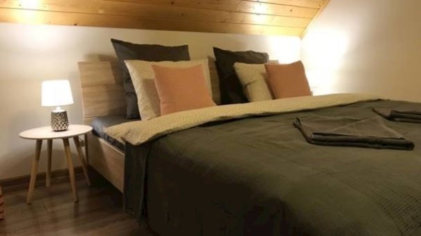Dovolenkový dom Villa Manatt a Villa Detvan Stará Lesná 40