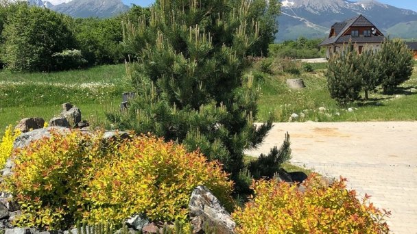 Dovolenkový dom Villa Manatt a Villa Detvan Stará Lesná 33