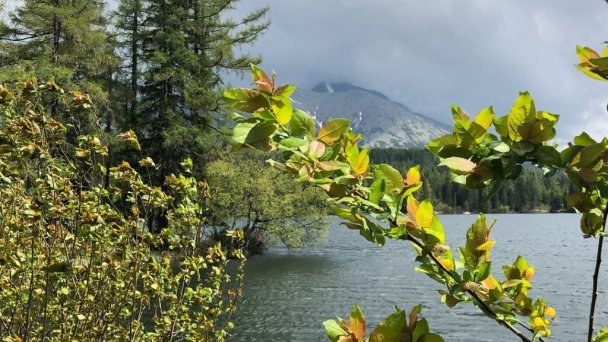 Dovolenkový dom Villa Manatt a Villa Detvan Stará Lesná 32