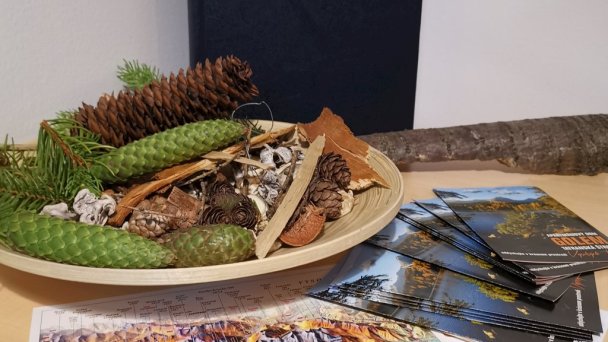 Krásny Apartmán A7 Tatranská Štrba 23
