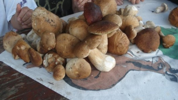 Vila Linda Stará Lesná 19
