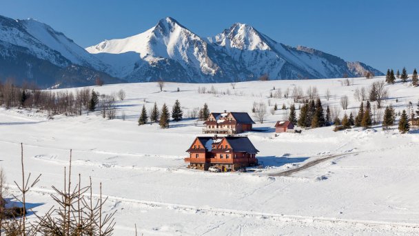 Privat Bachledova dolina Ždiar 15