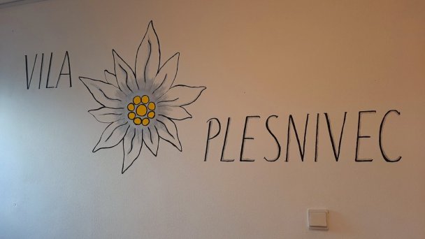 Vila Plesnivec Veľká Lomnica 25