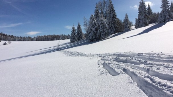 Chalet Slovenský Raj ****  Košiarny briežok 57