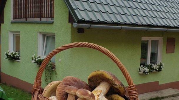 Domček u Ferka Dedinky 15