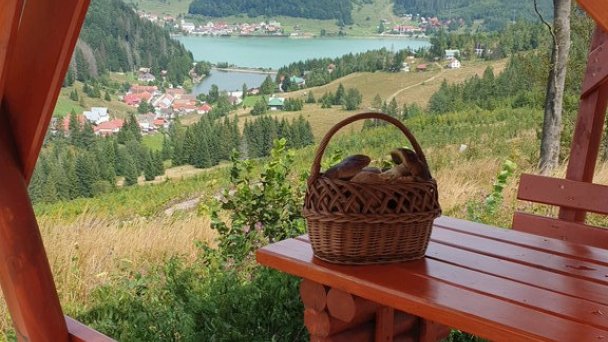 Domček u Ferka Dedinky 102