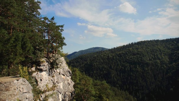 Sovia wellness chata Spišské Tomášovce 53