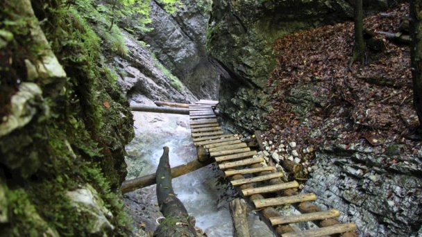 Chata Ostrica Smižany - Košiarny briežok 43 Chata Ostrica Smižany - Košiarny briežok 43