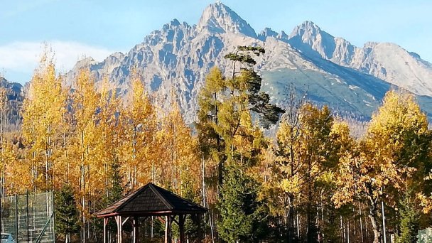 Apartmán Srnka Dolný Smokovec 3