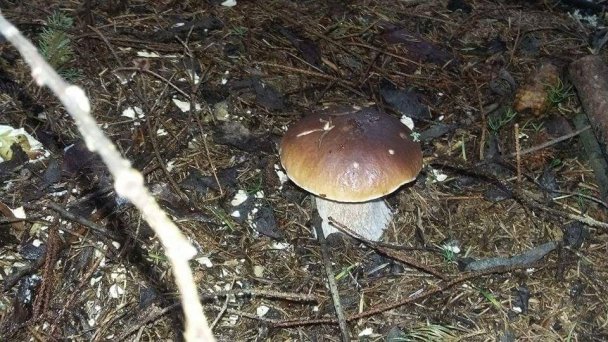 Chata pod Repiskom  Oravské Veselé 20