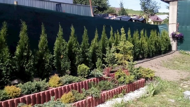 Chata Ostriežik Štefanov nad Oravou 62
