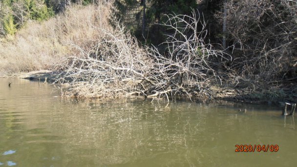 Chata Ostriežik Štefanov nad Oravou 71