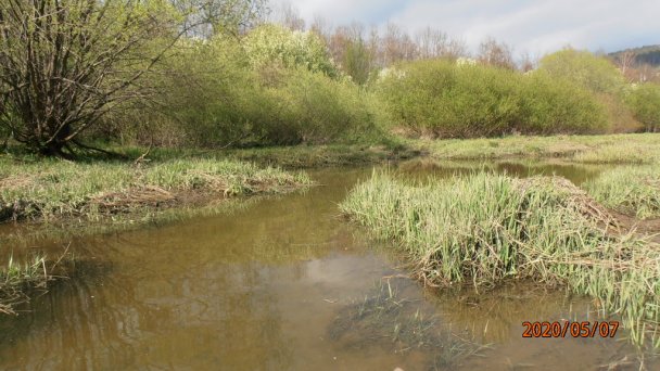 Chata Ostriežik Štefanov nad Oravou 9