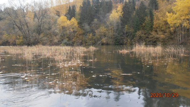 Chata Ostriežik Štefanov nad Oravou 26