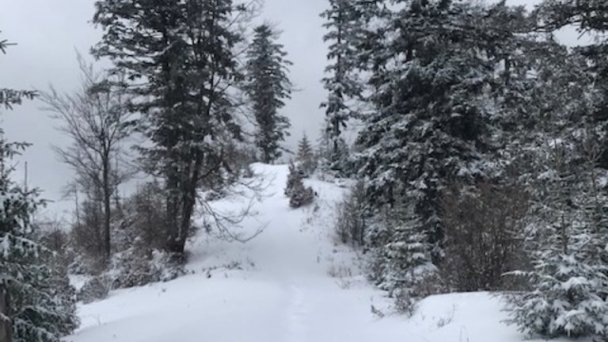 Chata Dorotka Vyšné Ružbachy 17 Chata Dorotka Vyšné Ružbachy 17