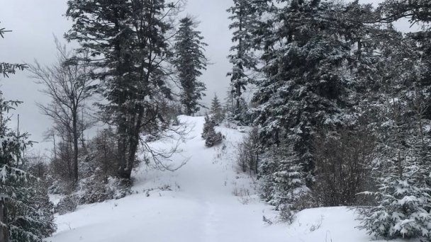 Chata Dorotka Vyšné Ružbachy 19 Chata Dorotka Vyšné Ružbachy 19