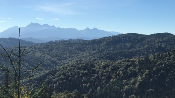 Chata Dorotka Vyšné Ružbachy 26 Chata Dorotka Vyšné Ružbachy 26