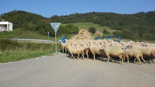 Chata Horbek Vyšné Ružbachy 11