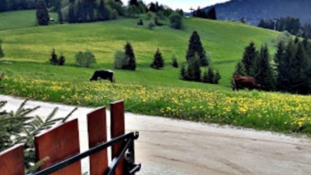 Rekreačná chata Nikol s wellness Oravská Lesná 32 Rekreačná chata Nikol s wellness Oravská Lesná 32