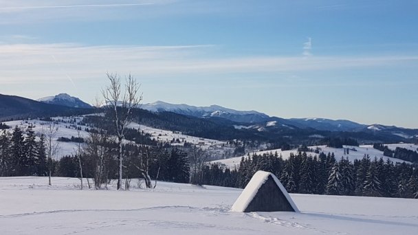 Chata u Vojta  Oravská Lesná 32
