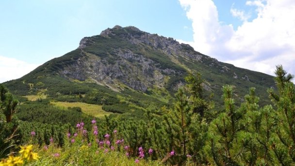 Penzión Kamzík a Drevenica Habovka 77 Penzión Kamzík a Drevenica Habovka 77