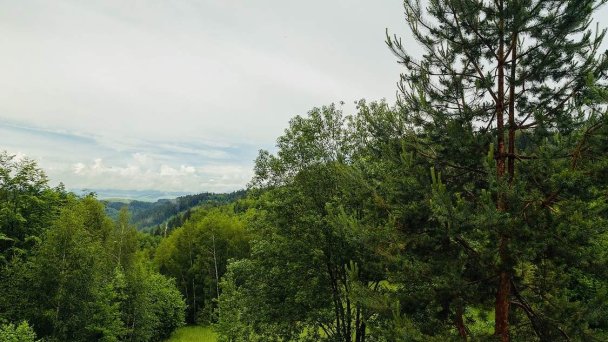 Zrub Bindt Hnilčík 97