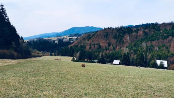 Dobrá chalúpka pod Kubínskou hoľou Dolný Kubín 10