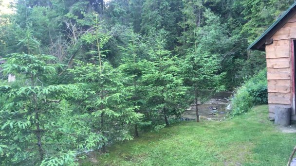 Chata pod Skorušinou Brezovica (okres Tvrdošín) 52