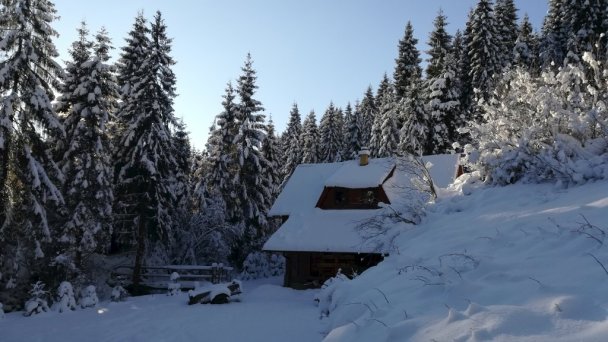 Chata pod Skorušinou Brezovica (okres Tvrdošín) 55