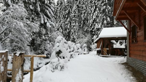 Chata pod Skorušinou Brezovica (okres Tvrdošín) 22