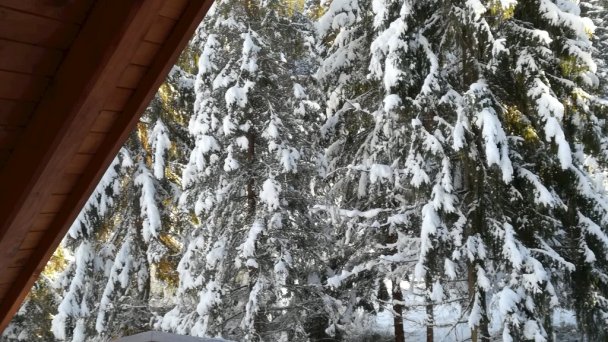 Chata pod Skorušinou Brezovica (okres Tvrdošín) 57