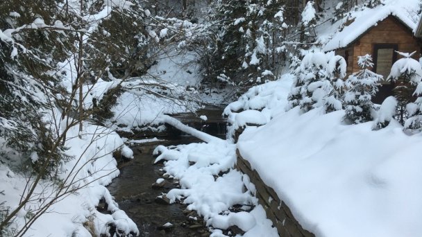 Chata pod Skorušinou Brezovica (okres Tvrdošín) 17