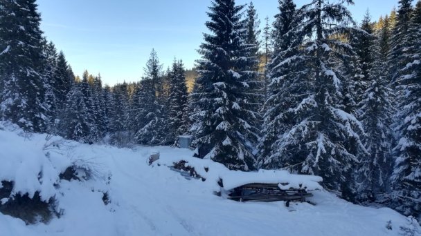 Chata pod Skorušinou Brezovica (okres Tvrdošín) 19